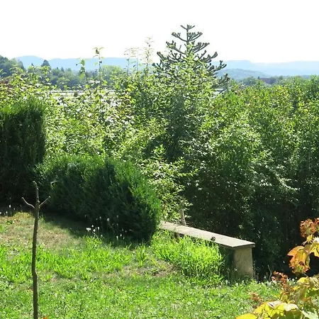 Daire Zentrales 2-zimmer